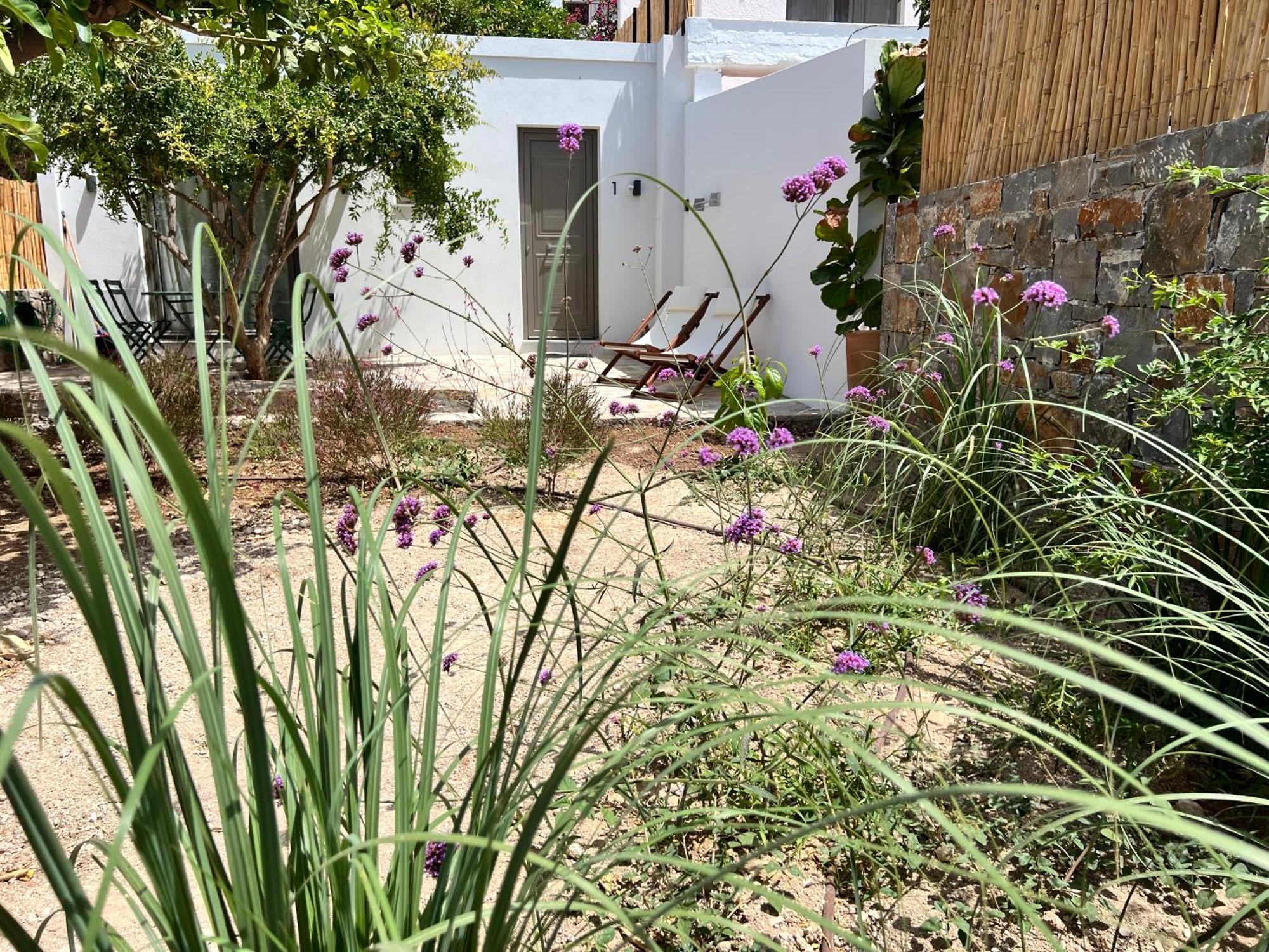 Gioma Garden Villas Istron Eksteriør billede